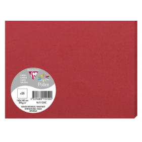 Carton Rouge Groseille 95X70 210G Pck:25 POLLEN