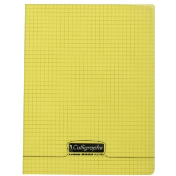 8000: cahier polypro agrafé 5/5 -assortis- 96 pages (17x22cm) CLAIREFONTAINE