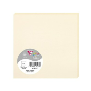 Carte Ivoire 135X135 210G Paquet.25 POLLEN