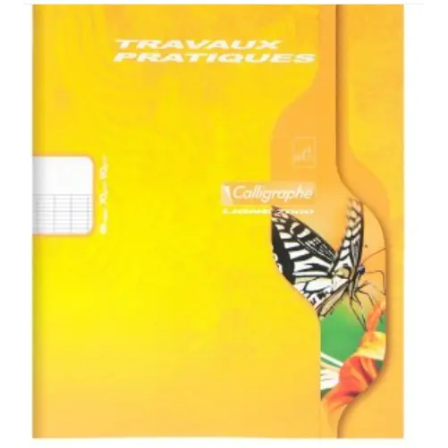 7000: Cahier travaux pratiques agrafé seyès -assortis- 48 pages (17x22cm) CLAIREFONTAINE