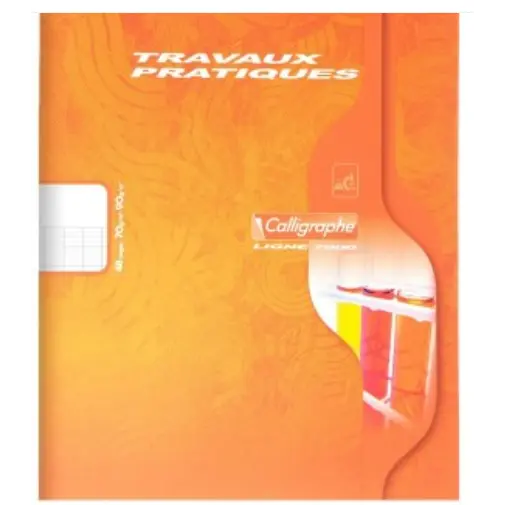 7000: Cahier travaux pratiques agrafé seyès -assortis- 48 pages (17x22cm) CLAIREFONTAINE