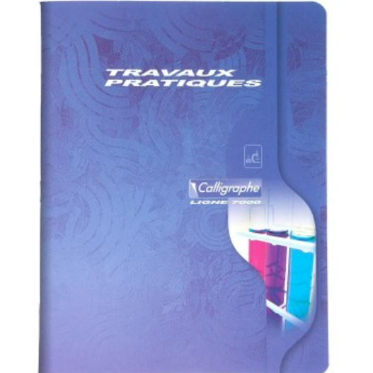 7000: Cahier travaux pratiques agrafé seyès -assortis- 96 pages (17x22cm) CLAIREFONTAINE
