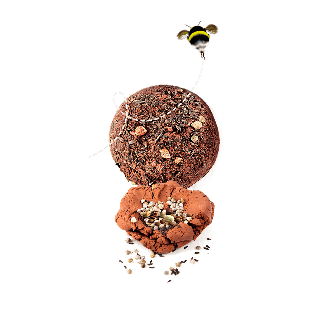 BOMBES DE GRAINES CLEMENTONI