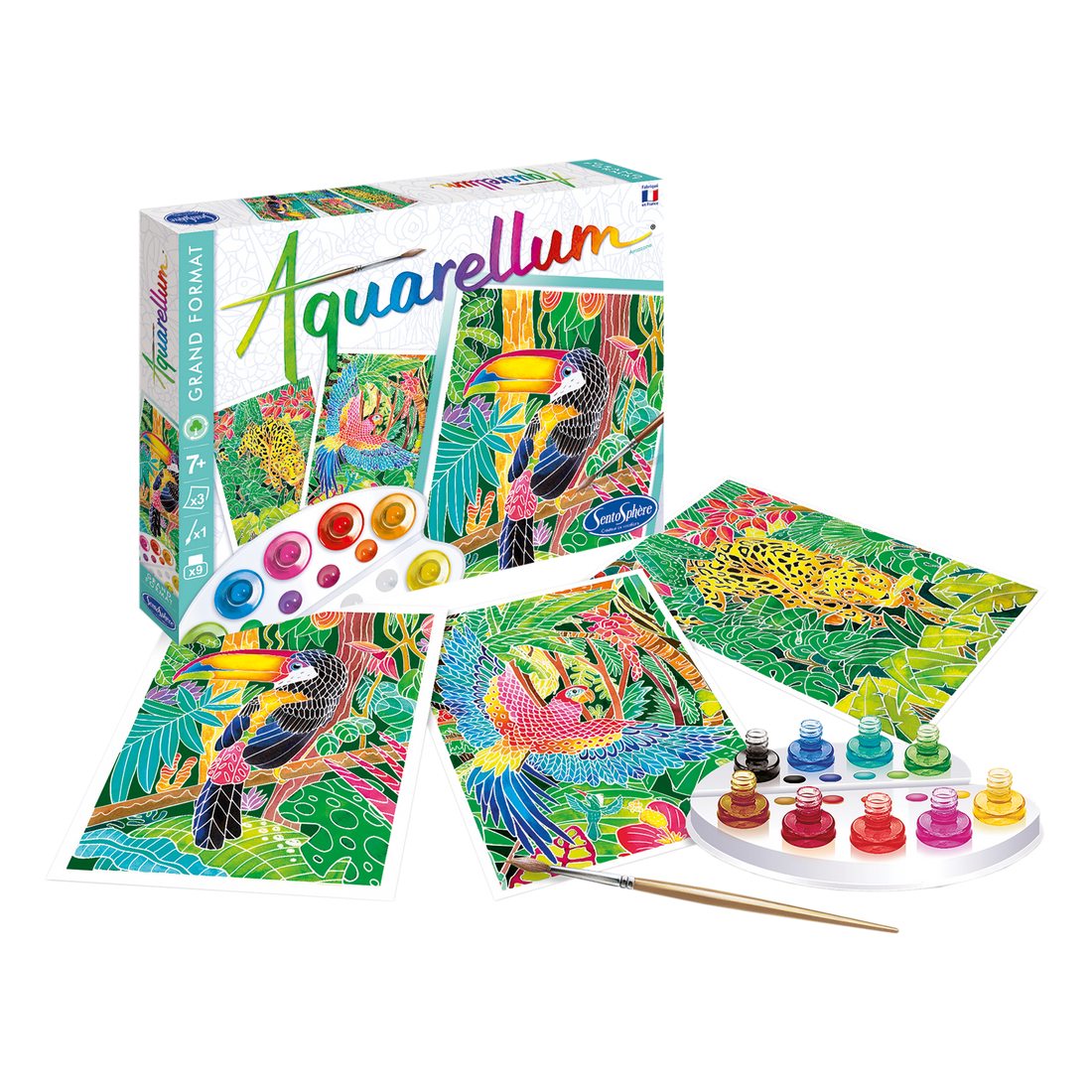 AQUARELLUM - AMAZONE SENTOSPHERE