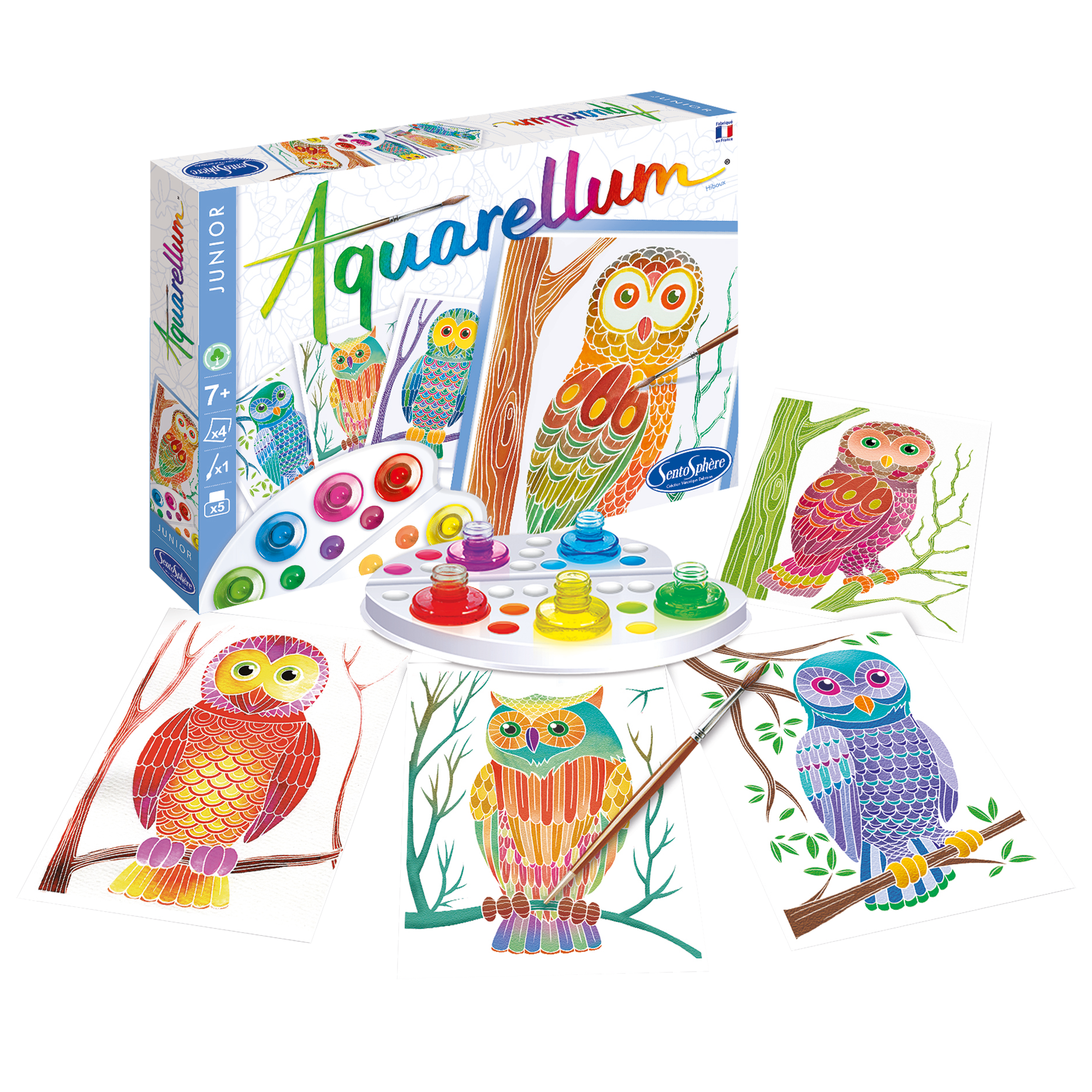 AQUARELLUM JR - HIBOUX SENTOSPHERE