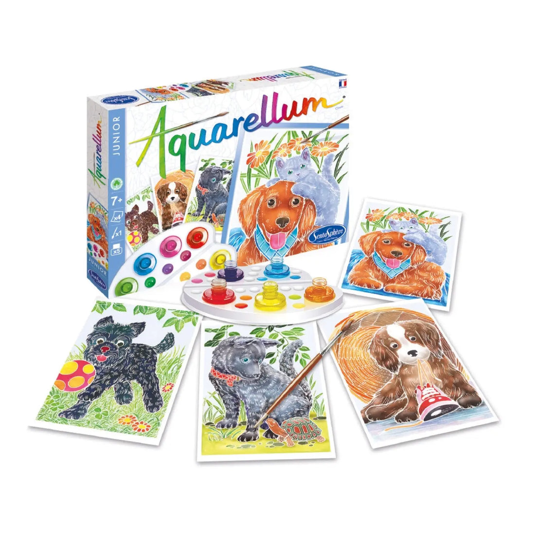 AQUARELLUM JR - CHIOTS SENTOSPHERE