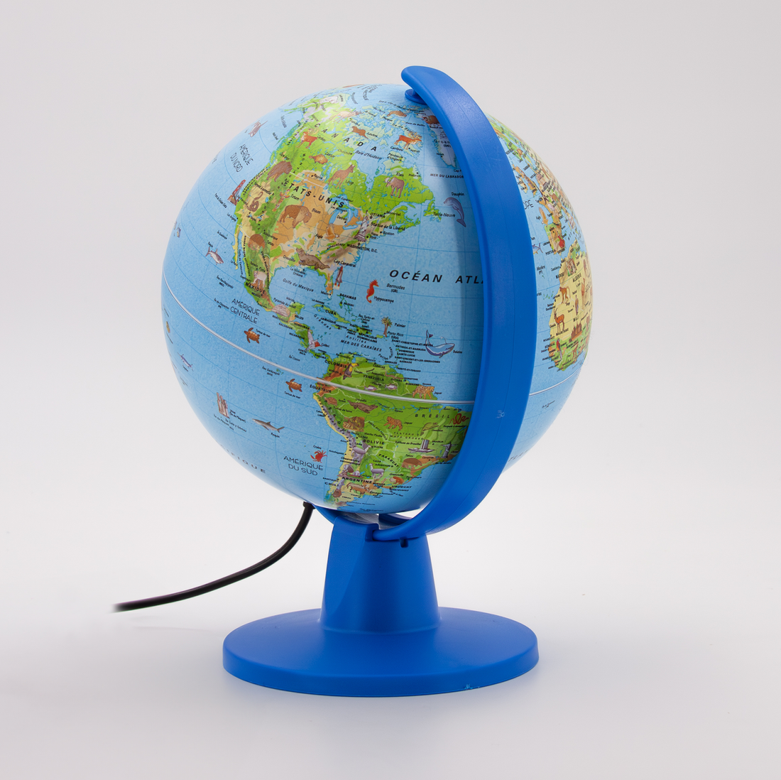 LUCE - SAFARI FR - 16cm TECNODIDATTICA