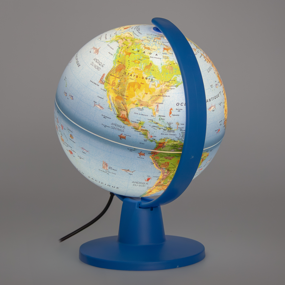 LUCE - SAFARI FR - 16cm TECNODIDATTICA