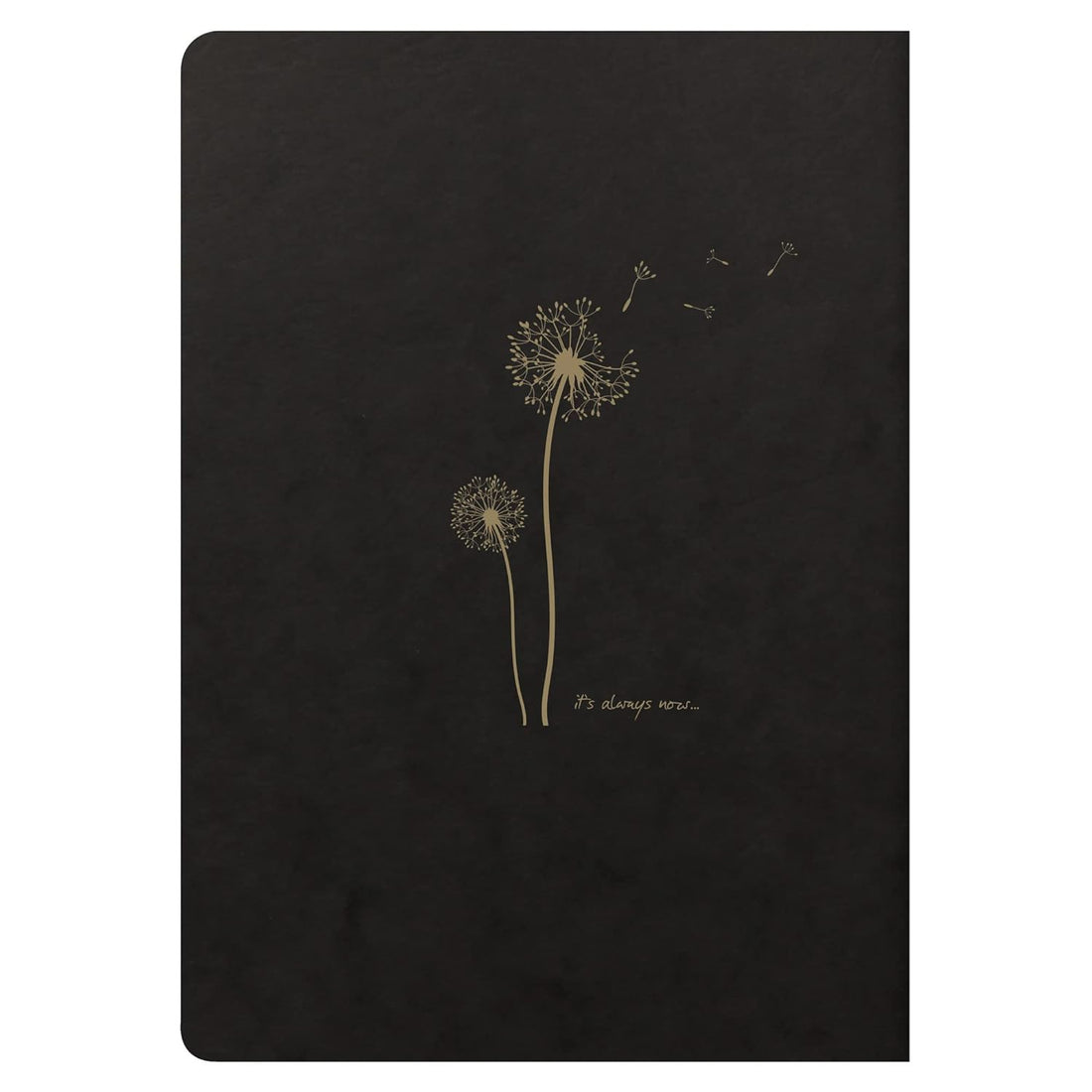Cahier Flying Spirit ligné dos cousu 96 pages motifs assortis A5 (14.8x21cm)
