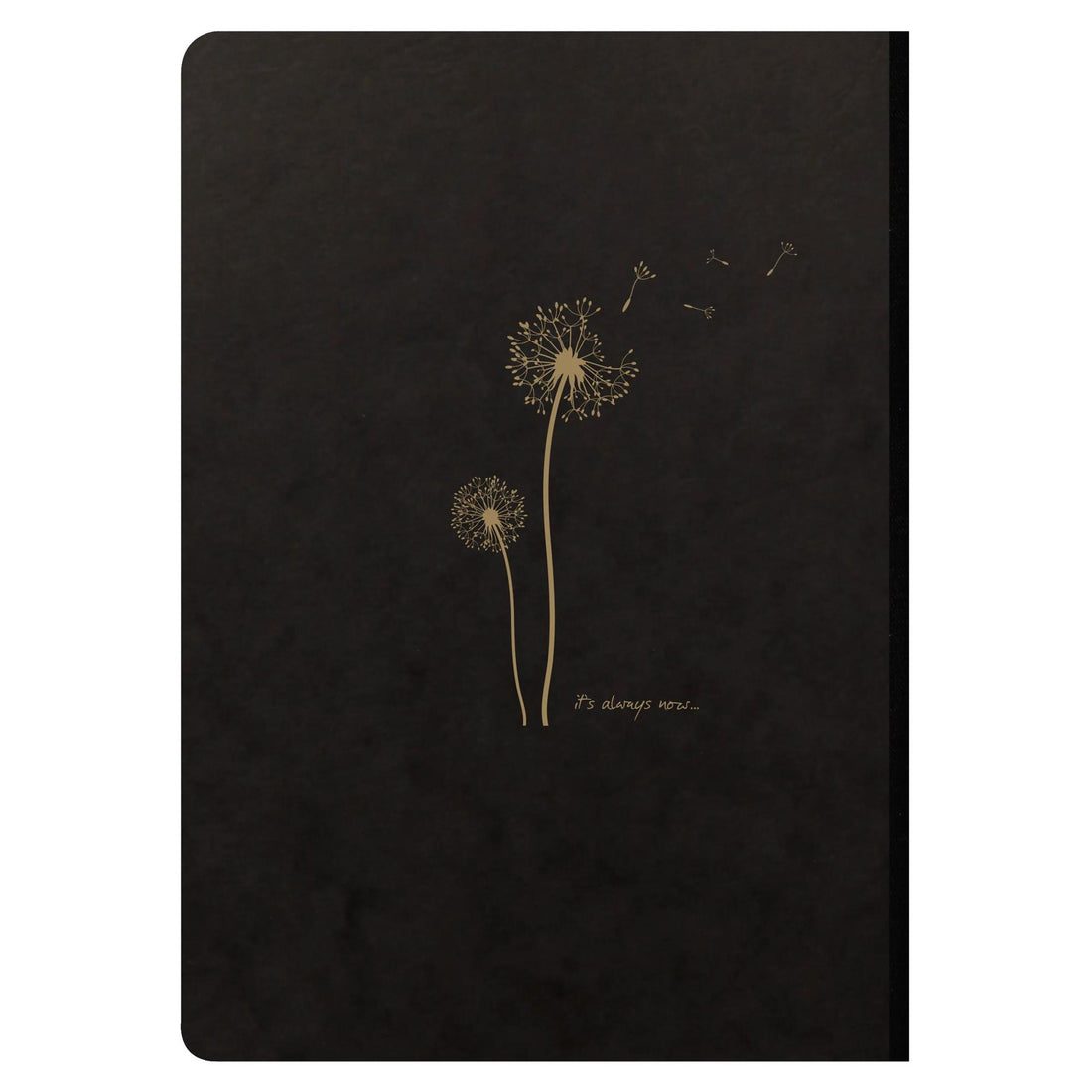 Cahier Flying Spirit ligné relié tissu 192 pages motifs assortis A5 (14.8x21cm)