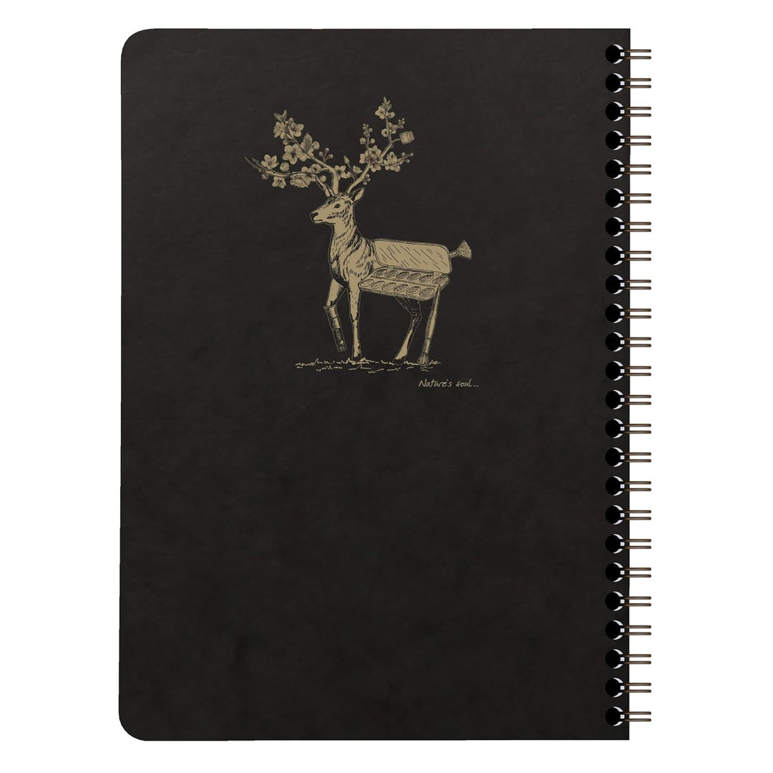 Cahier Flying Spirit ligné spirale avec pochettes 120 pages motifs assortis A5 (14,8 x 21 cm) by CLAIREFONTAINE