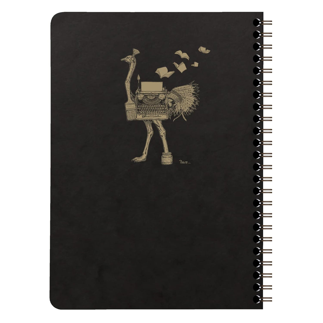 Cahier Flying Spirit ligné spirale avec pochettes 120 pages motifs assortis A5 (14,8 x 21 cm) by CLAIREFONTAINE