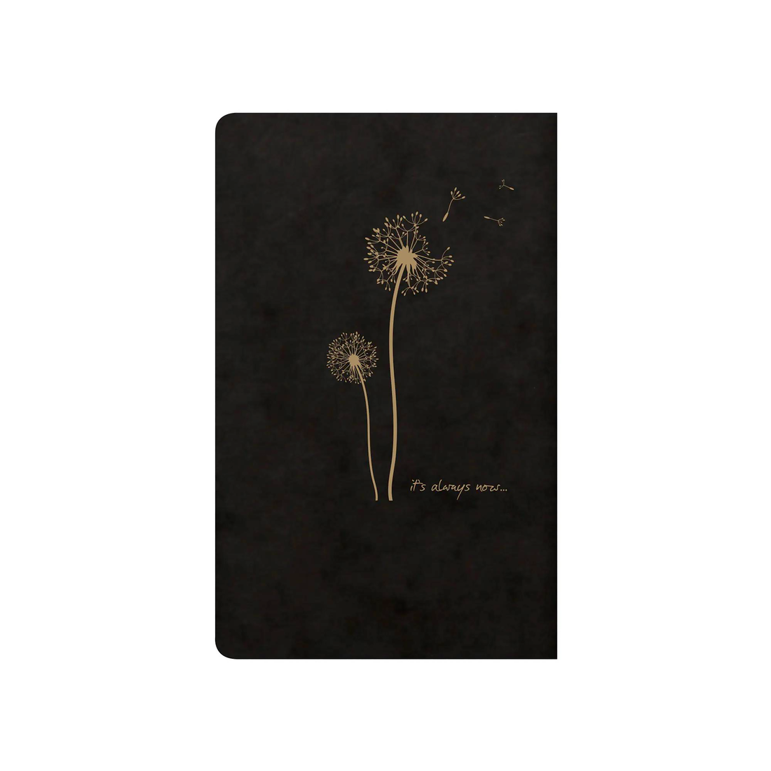 NOTEBOOKS FLYING SPIRIT SEWN SPINE 48p 3x4¾