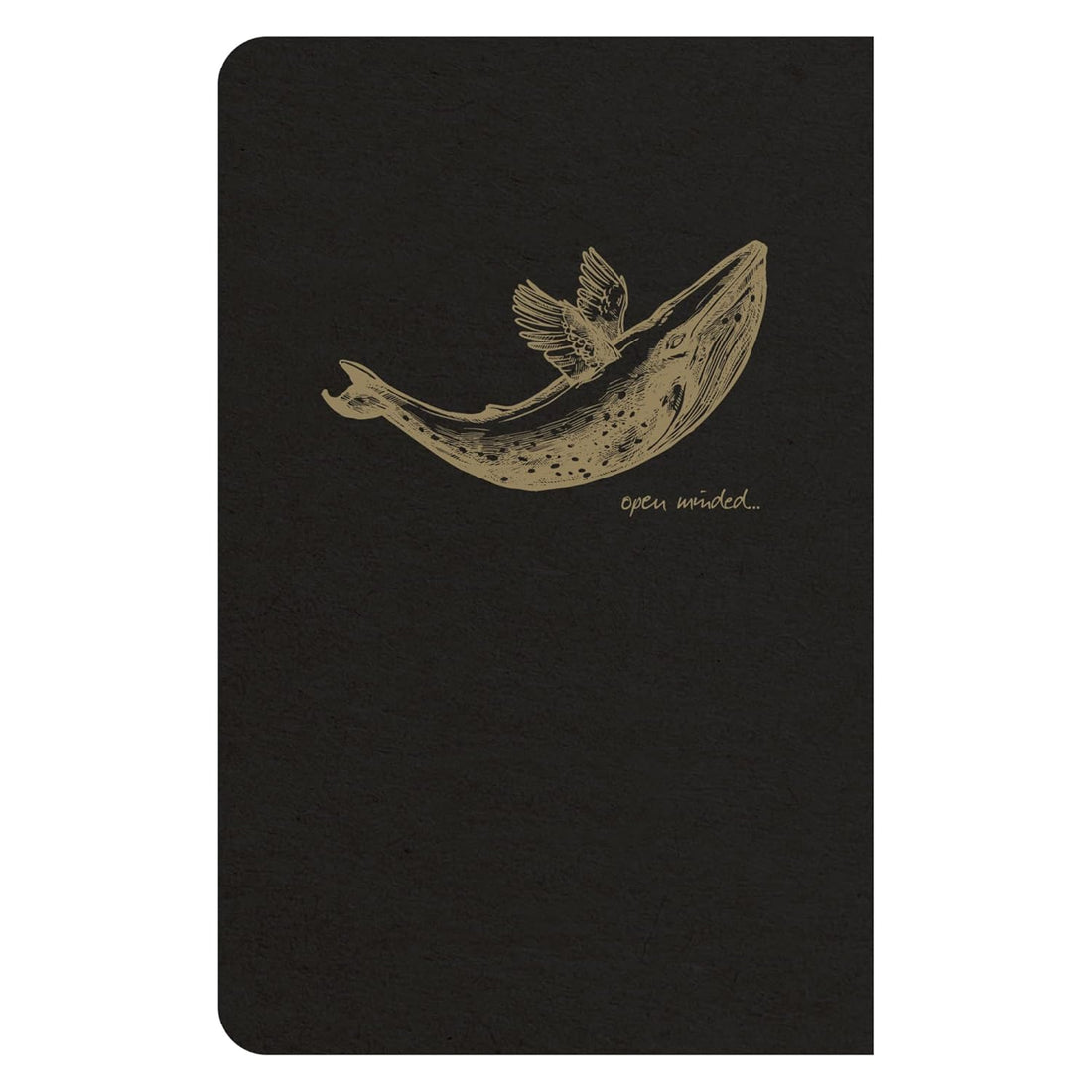 Cahier Flying Spirit ligné dos cousu 96 pages motifs assortis (9x14cm)