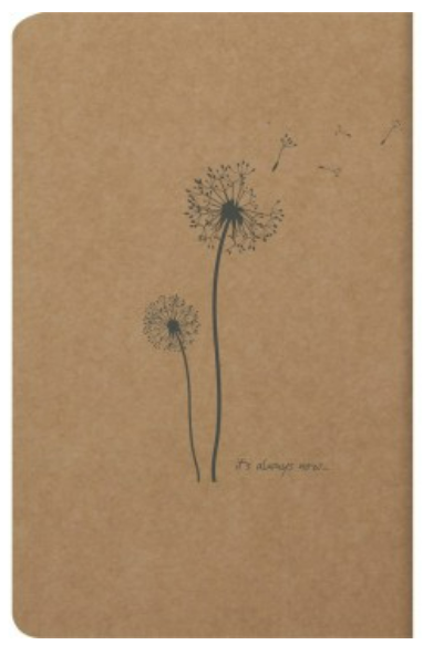 Flying Spirit:  Cahier à dos cousu 96P 4¼X6¾. Assortis CLAIREFONTAINE