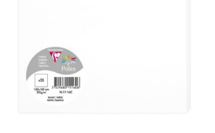 Carte Blanche 95X70 210G Paquet.25 POLLEN