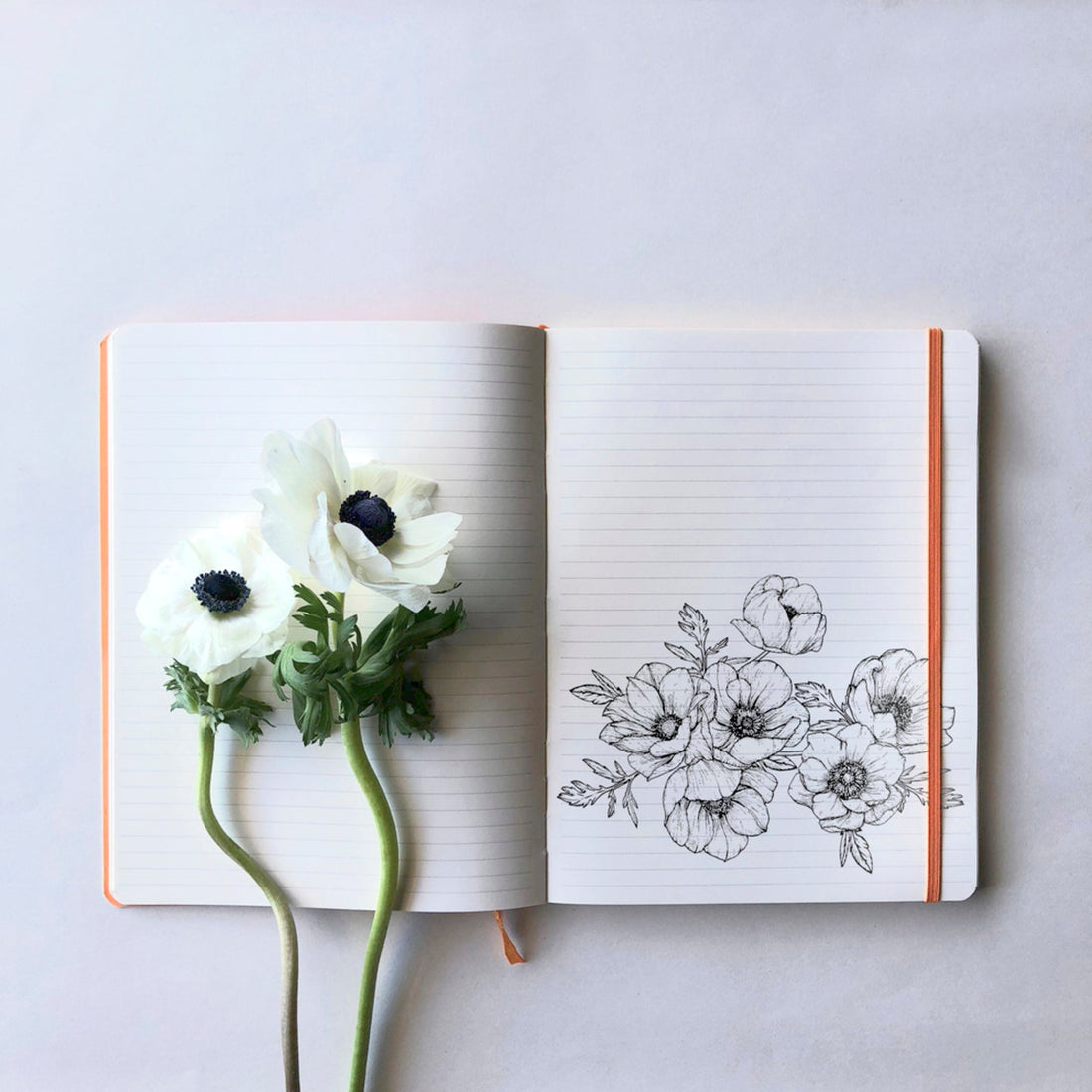 Carnet souple ligné -coquelicot- A5. 160 pages  (14.8x21cm) RHODIA