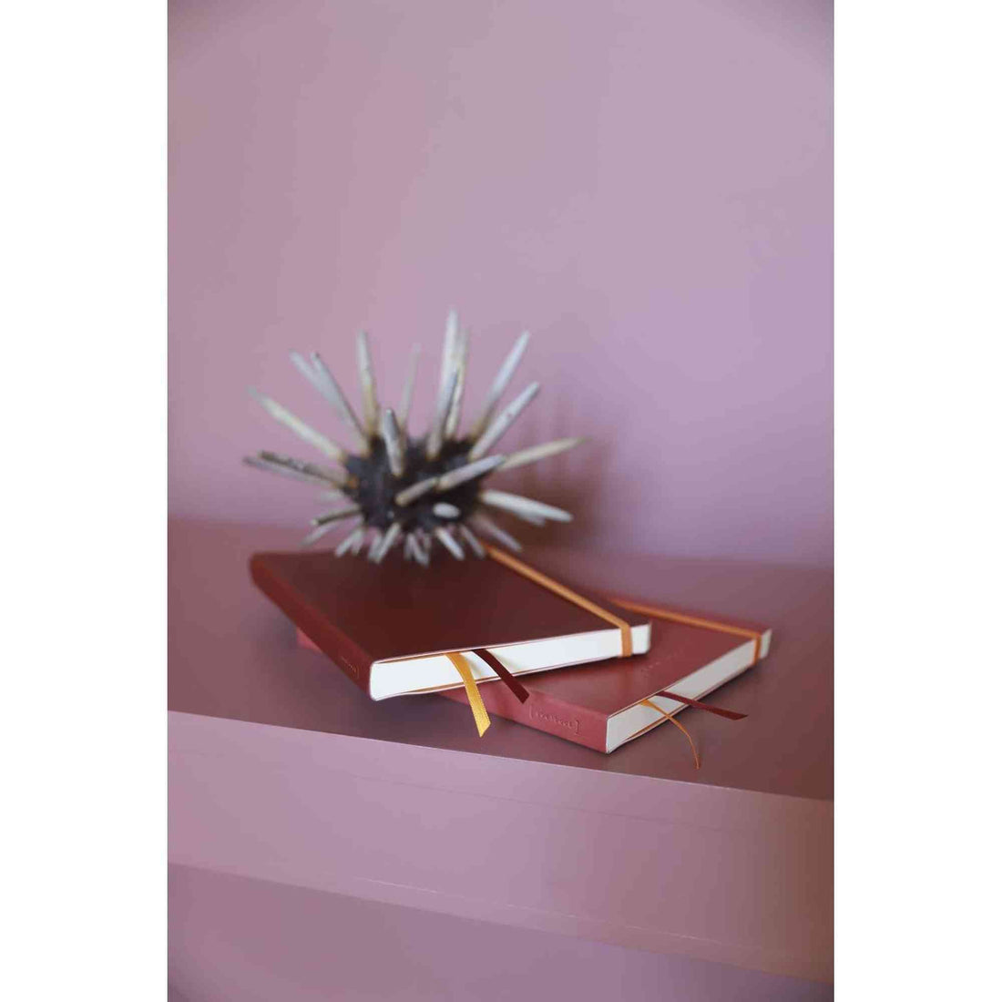 Rhodiarama Cahier de But Dot A5 120F Bordeaux RHODIA