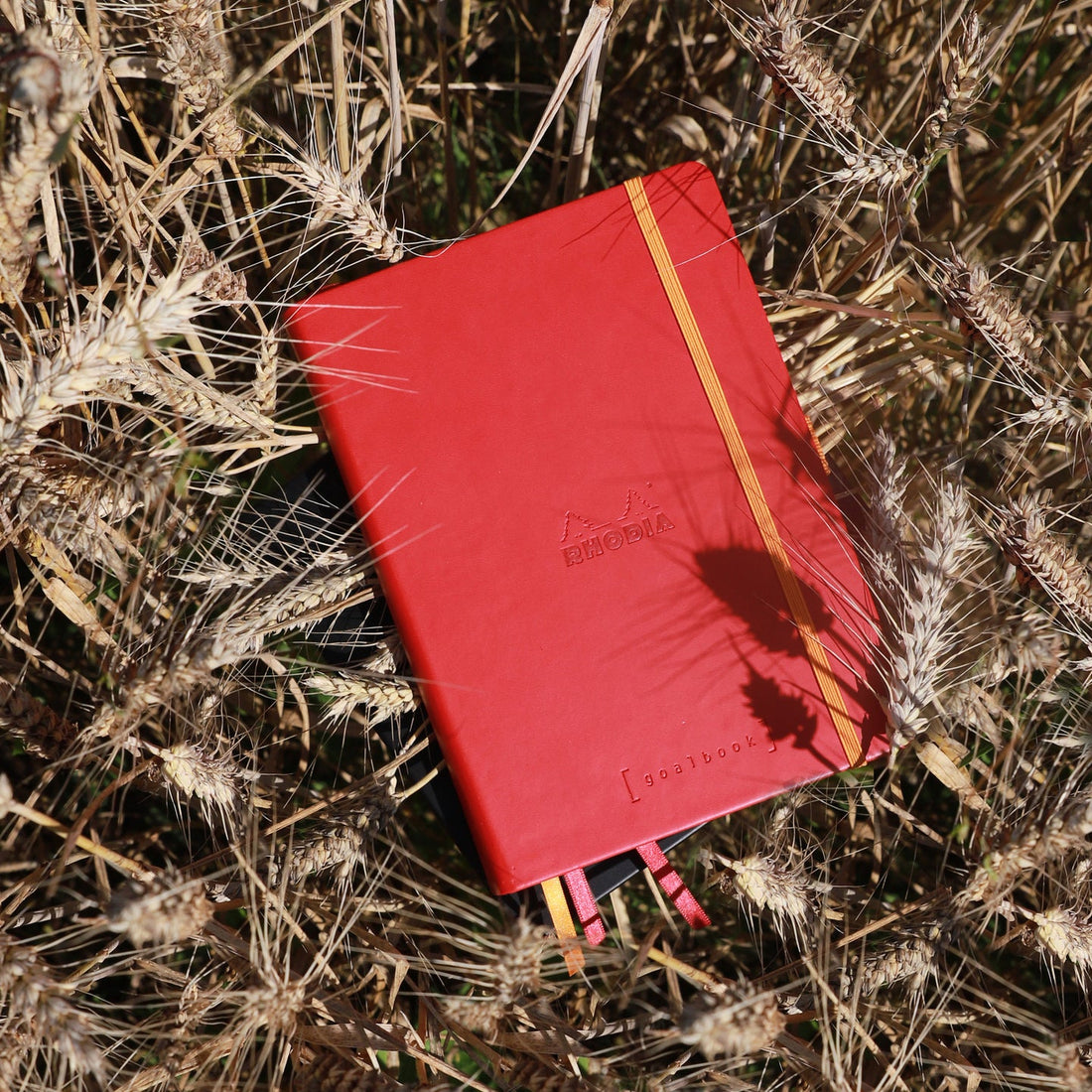 Rhodiarama Cahier de But Couverture Rigide Dot 5.5X8.5 240P. Pavot RHODIA