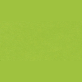 Carte Vert Menthe 95X70 210G Paquet.25 POLLEN