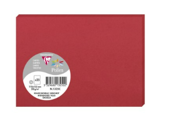 Carton Rouge Groseille 110X155 210G. Paquet.25 POLLEN