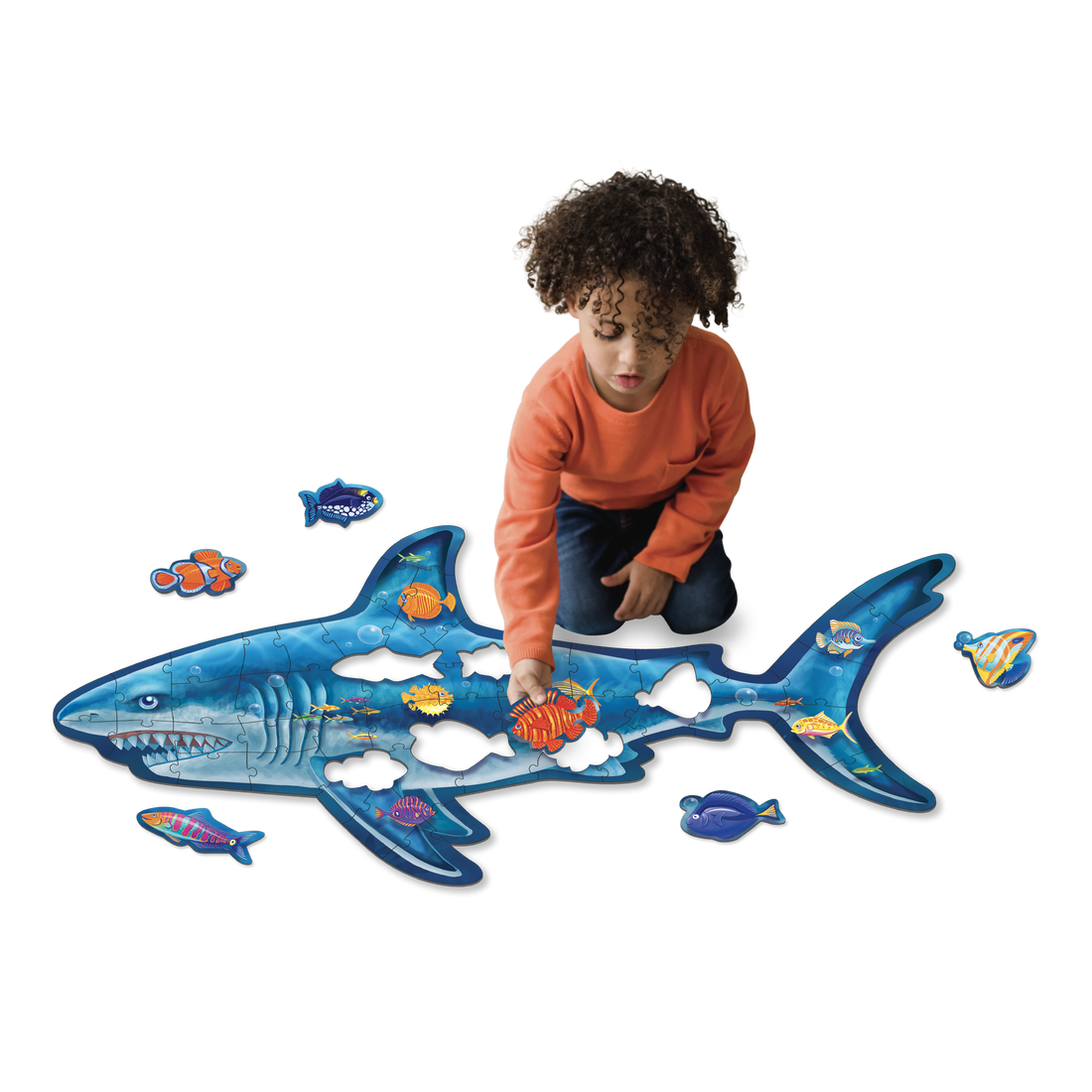 CASSE-TÊTE REQUIN by PEACEABLE KINGDOM