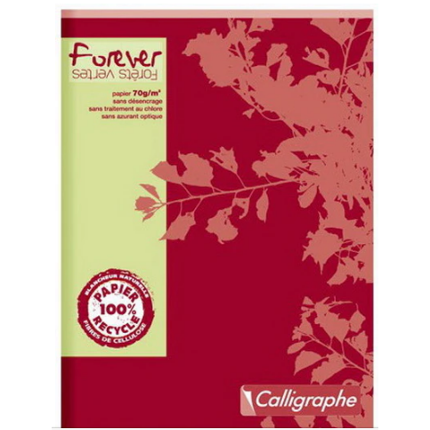 Cahier agrafé 'Forever' 5/5 -assortis- 96 pages (17x22cm) CLAIREFONTAINE