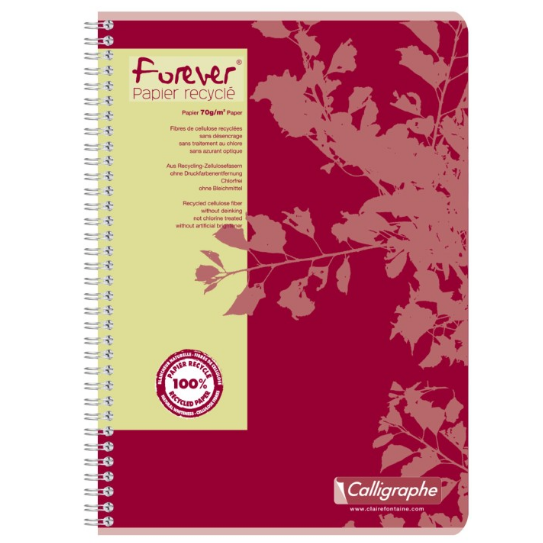 Cahier Graphique à reliure spirale 180P 8¼X11¾ CLAIREFONTAINE
