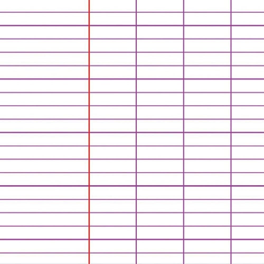 Feuilles Classeurs seyès 200 pages A4 (21 x 29,7 cm) by CLAIREFONTAINE