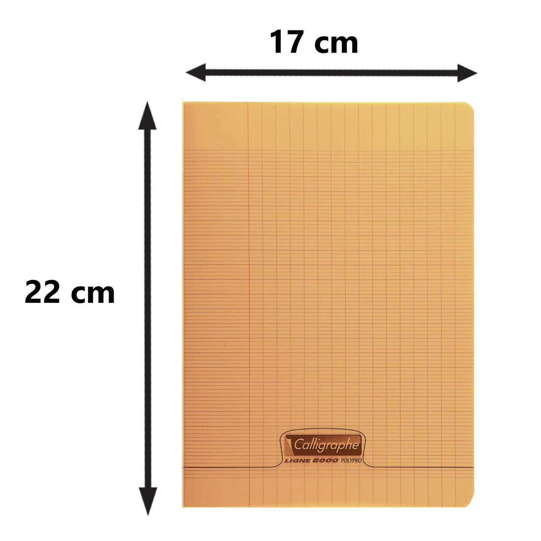 Cahier 8000 polypro seyès orange 32 pages (17x22cm)