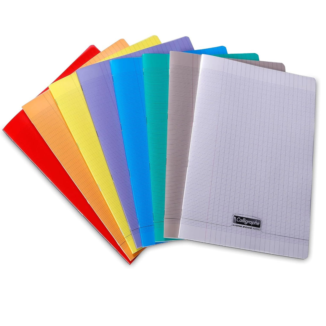 Cahier 8000 polypro seyès bleu 48 pages (17x22cm )