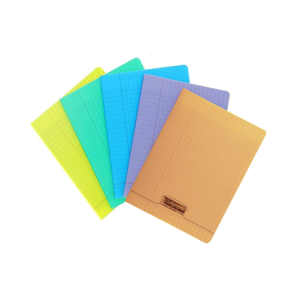 Cahier 8000 polypro seyès bleu 96 pages (17x22cm)