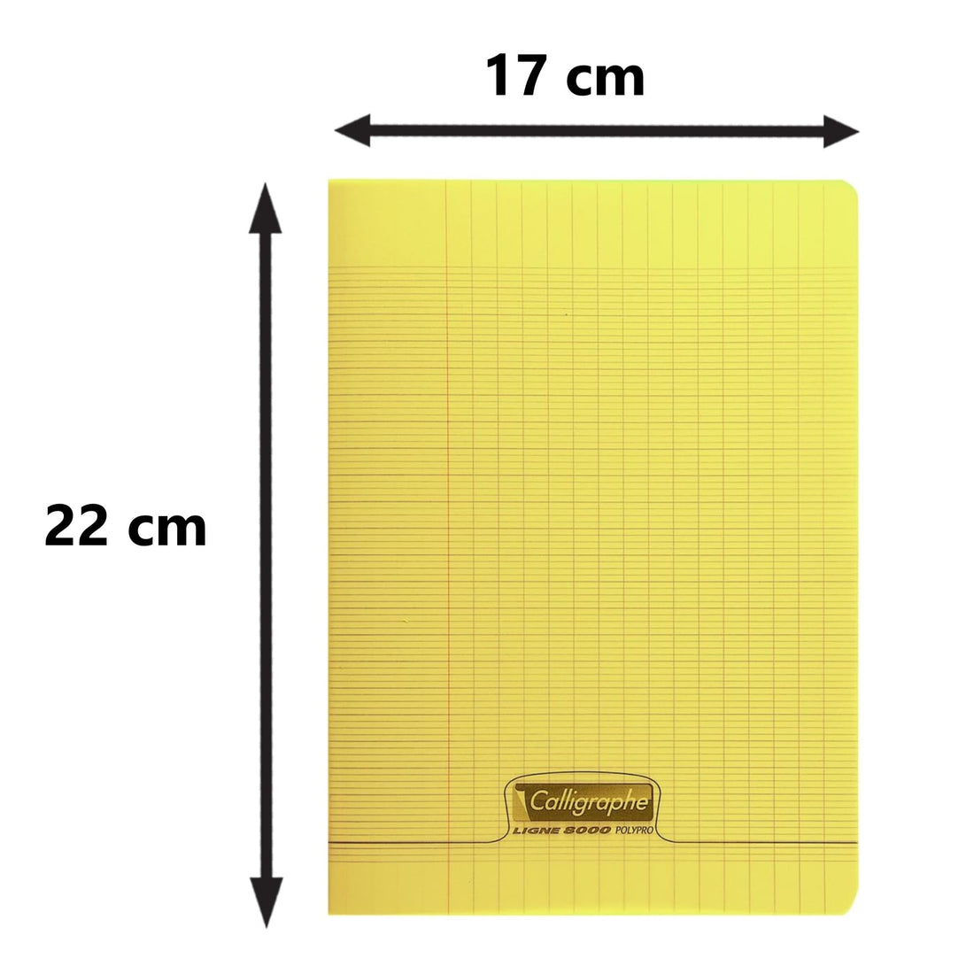 Cahier 8000 polypro seyès jaune 96 pages (17x22cm)