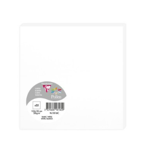 Carte Blanche 135X135 210G Paquet.25 POLLEN
