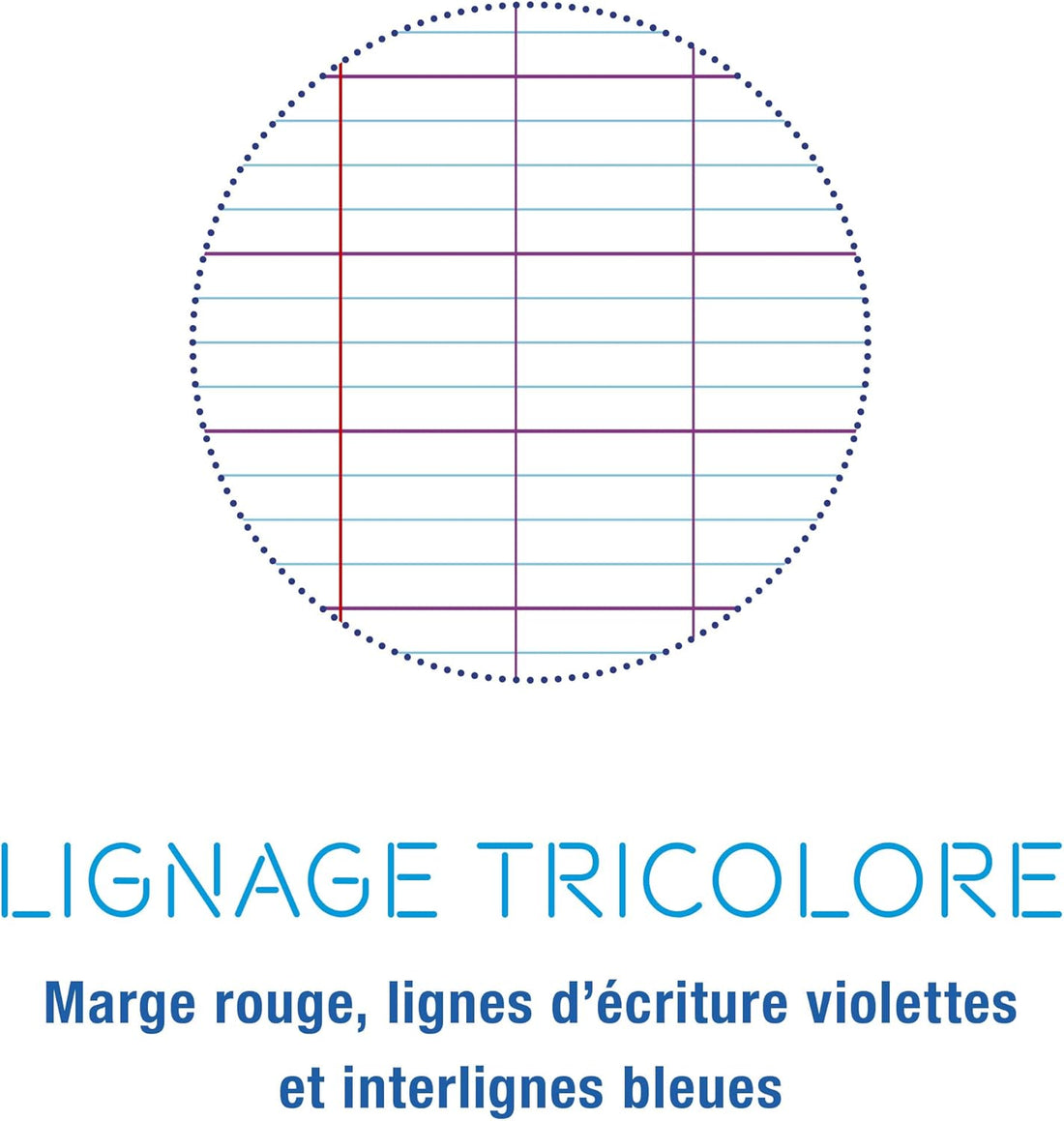 Cahier travaux pratiques 8000 seyès polypro agrafé  96 pages incolore (24x32cm)