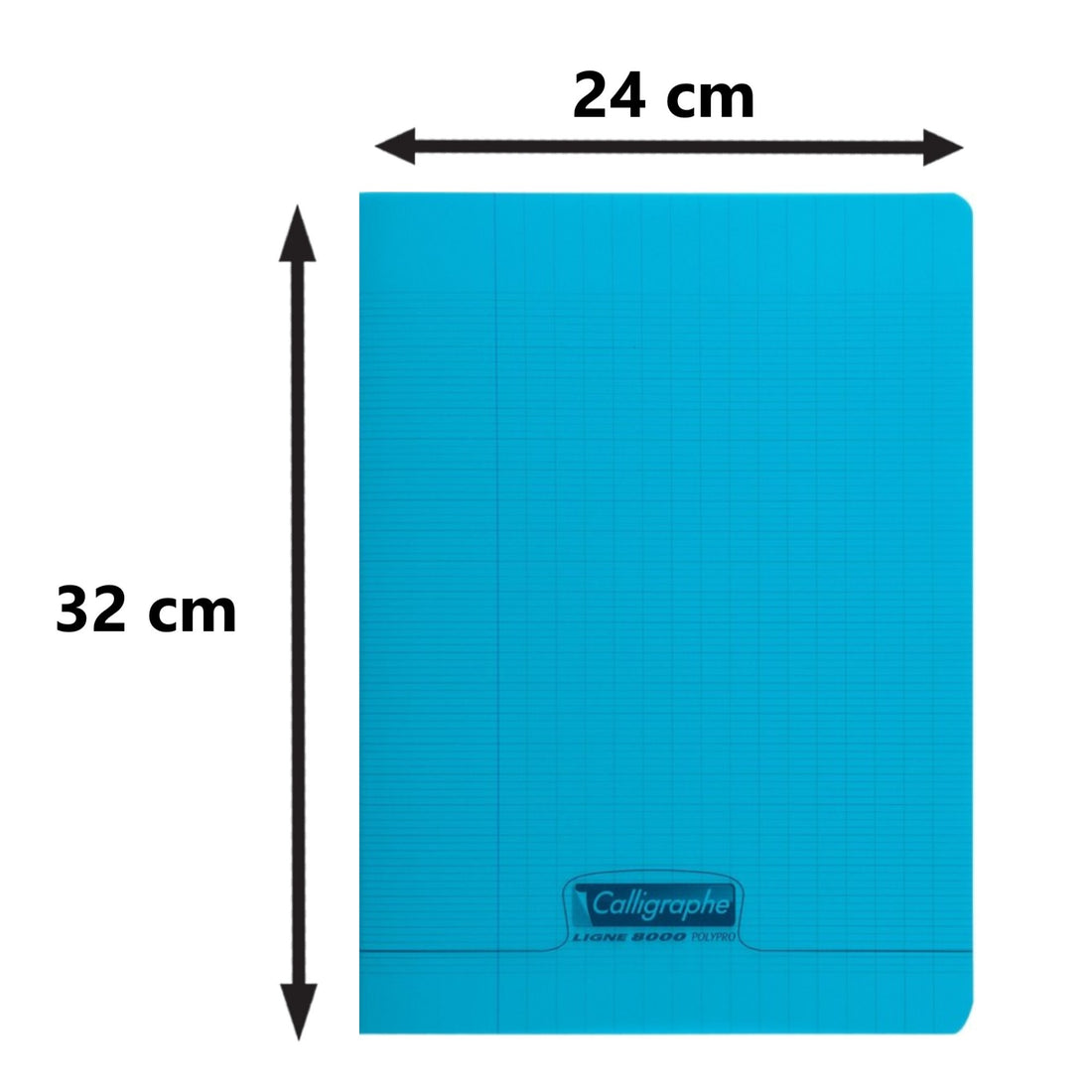 Cahier 8000 polypro seyès bleu 96 pages (24x32cm)