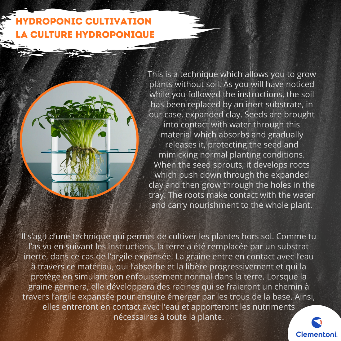 STRANGER THINGS - TERRARIUM