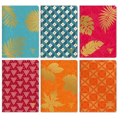 Carnet néo déco mi-saison agrafé ligné -assortis- 96 pages -A5. (14.8x21cm) CLAIREFONTAINE