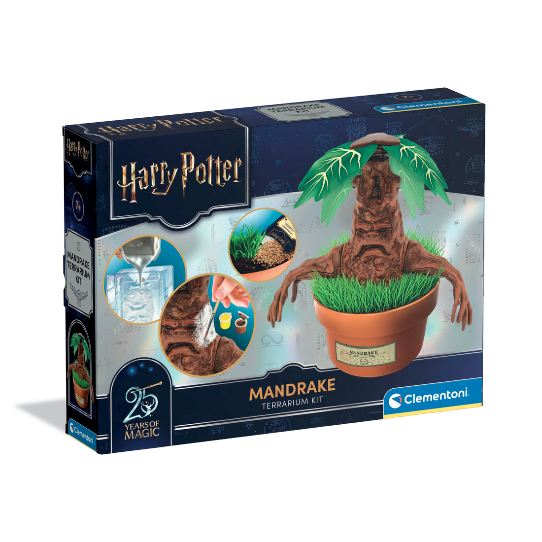 HARRY POTTER TERRARIUM MANDRAGORE