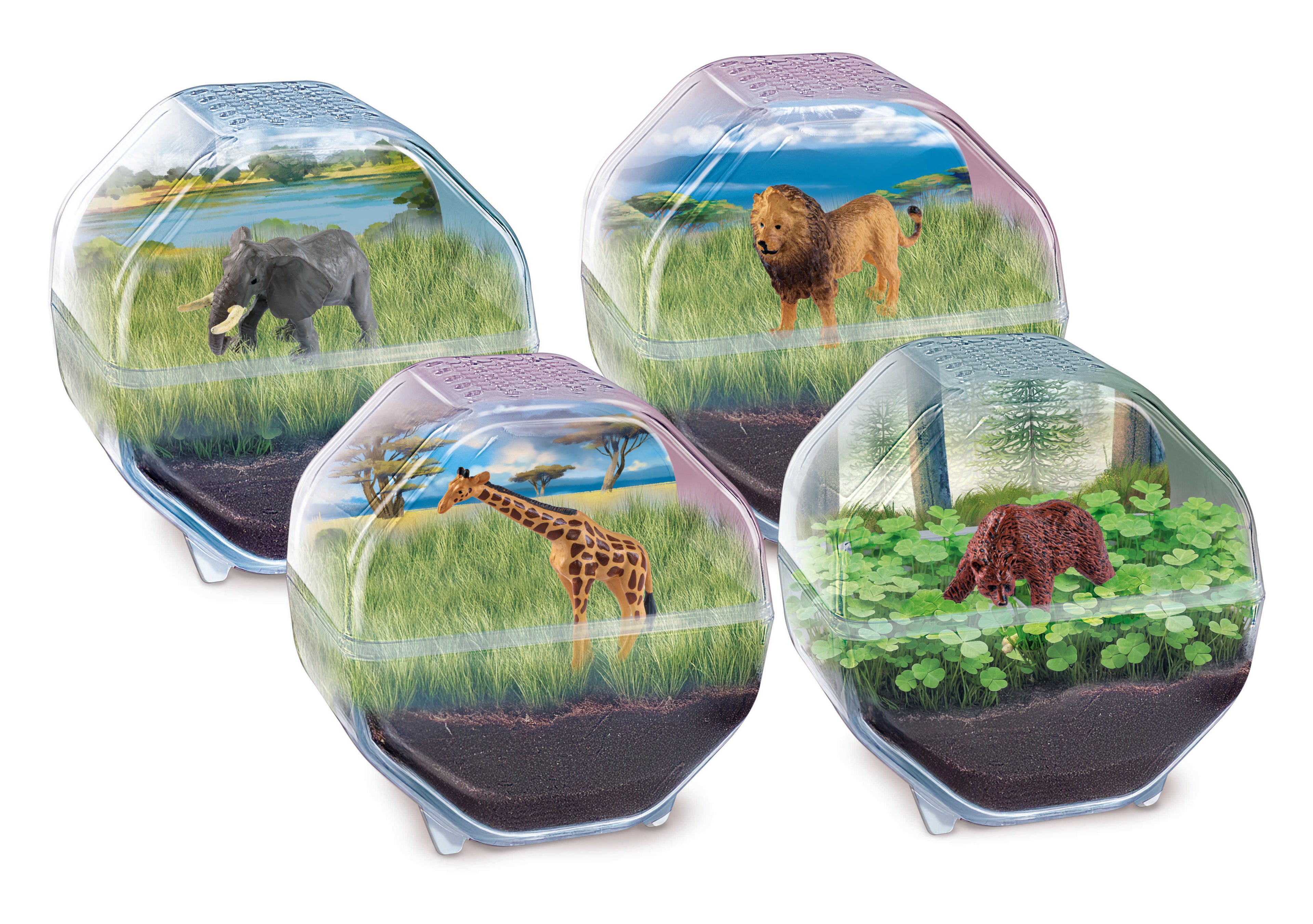 PRÉSENTOIR - MINI TERRARIUM (12) avec paysages savane et animaux: éléphant, lion et girafe.
