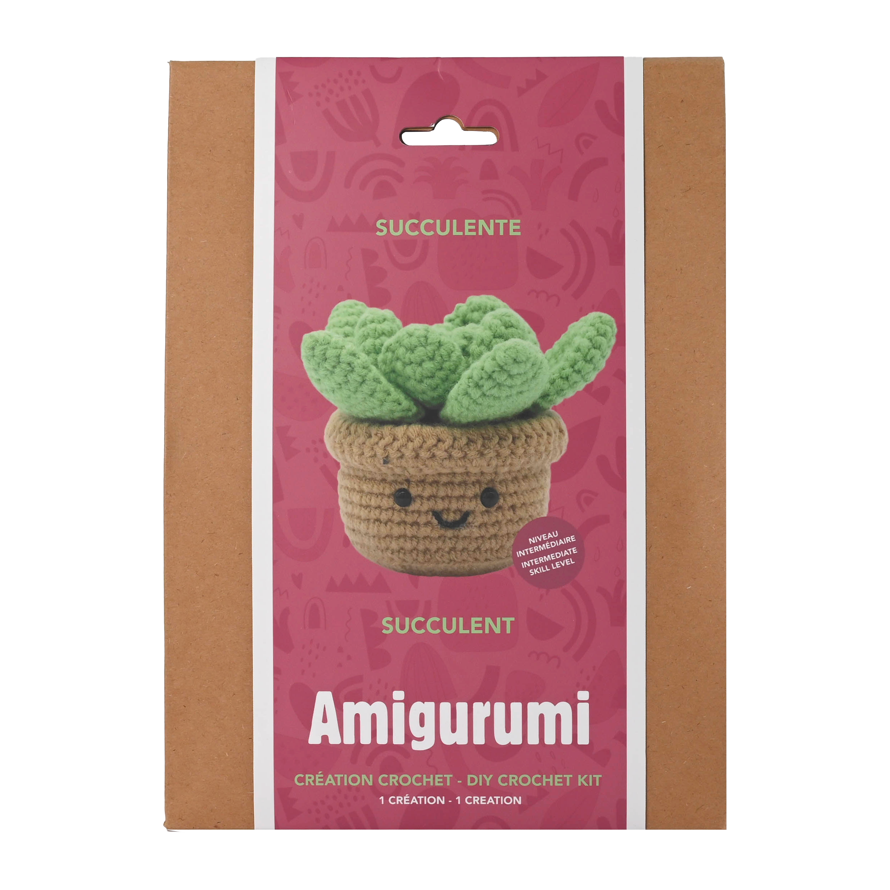 KIT DIY CROCHET – SUCCULENTE