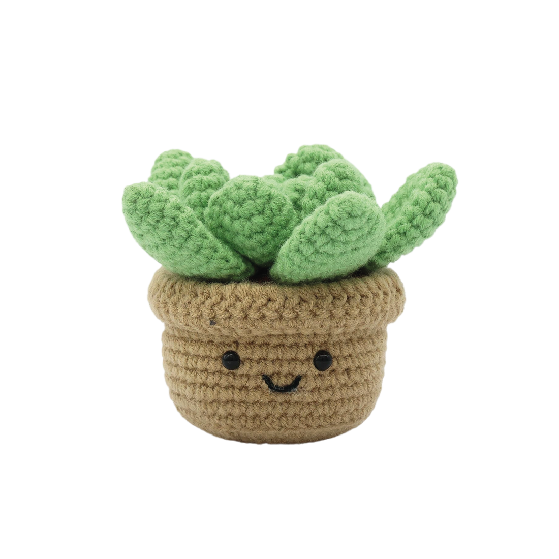 KIT DIY CROCHET – SUCCULENTE