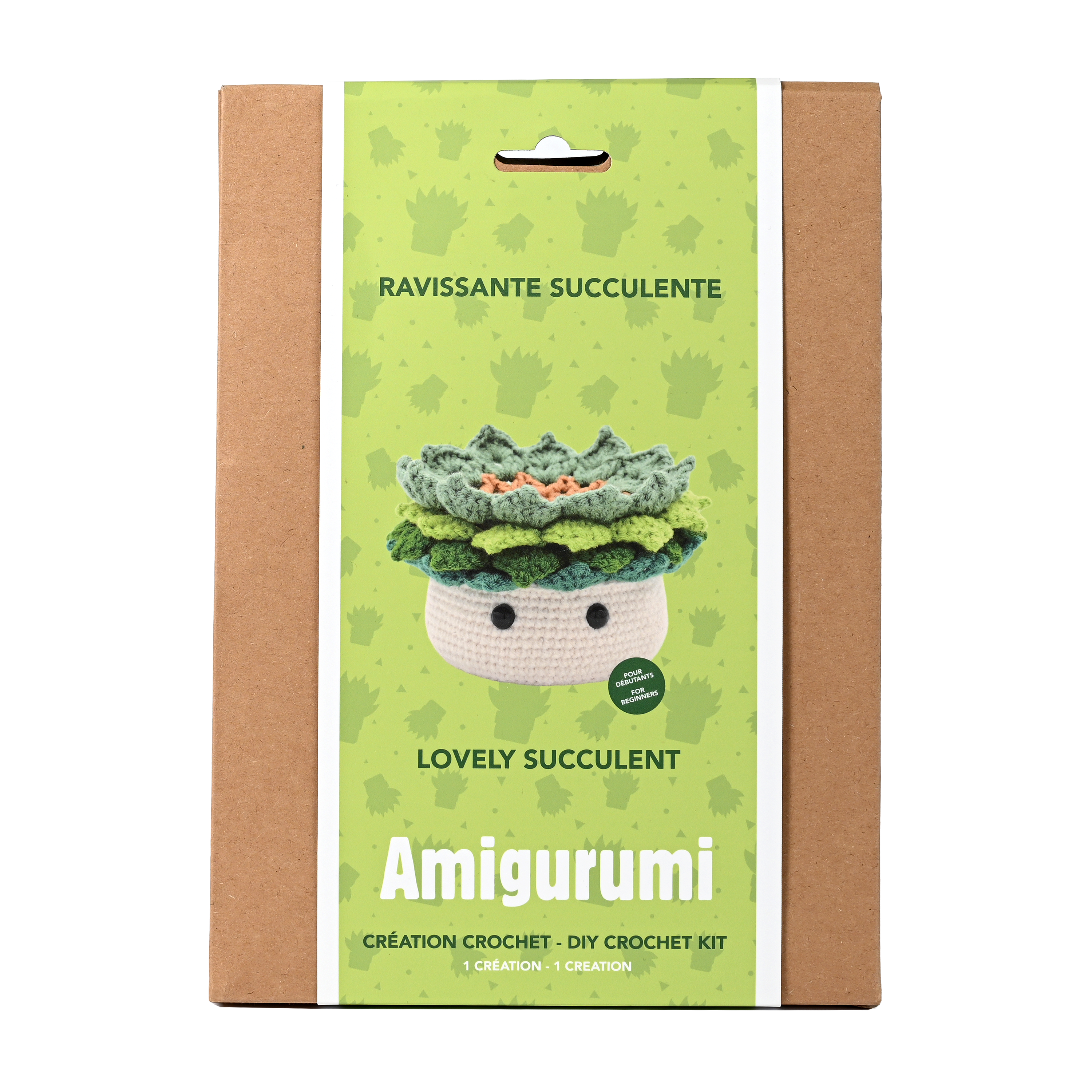 KIT DIY CROCHET- PLANTE