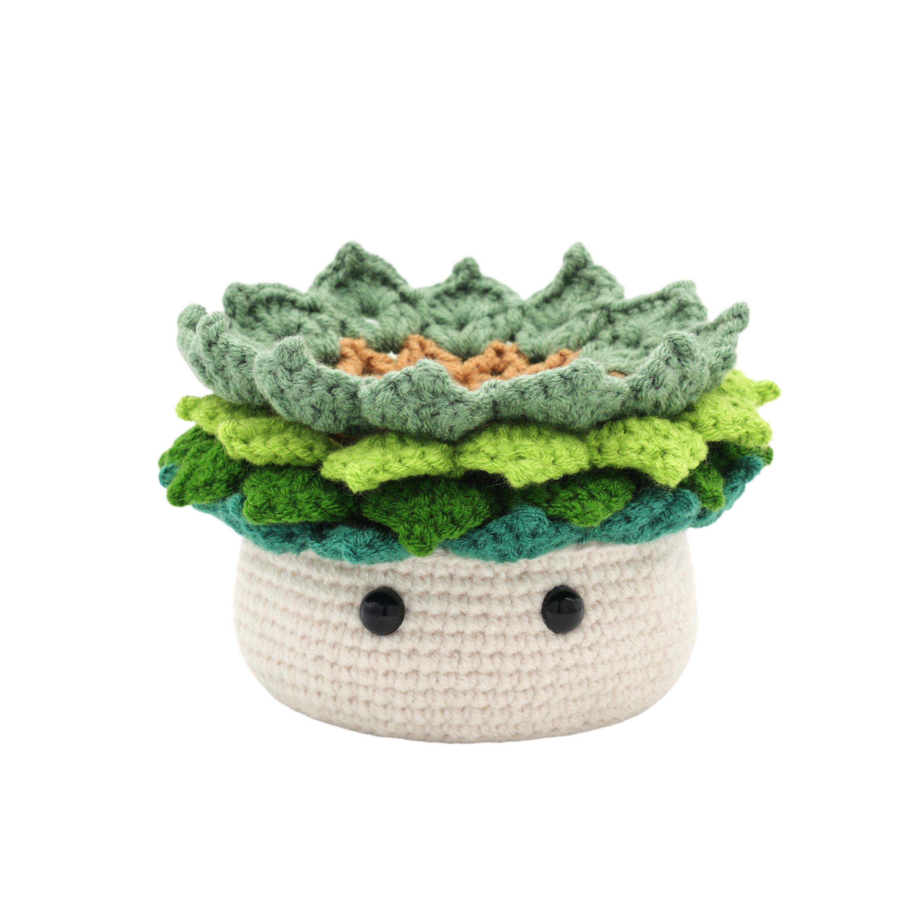KIT DIY CROCHET- PLANTE