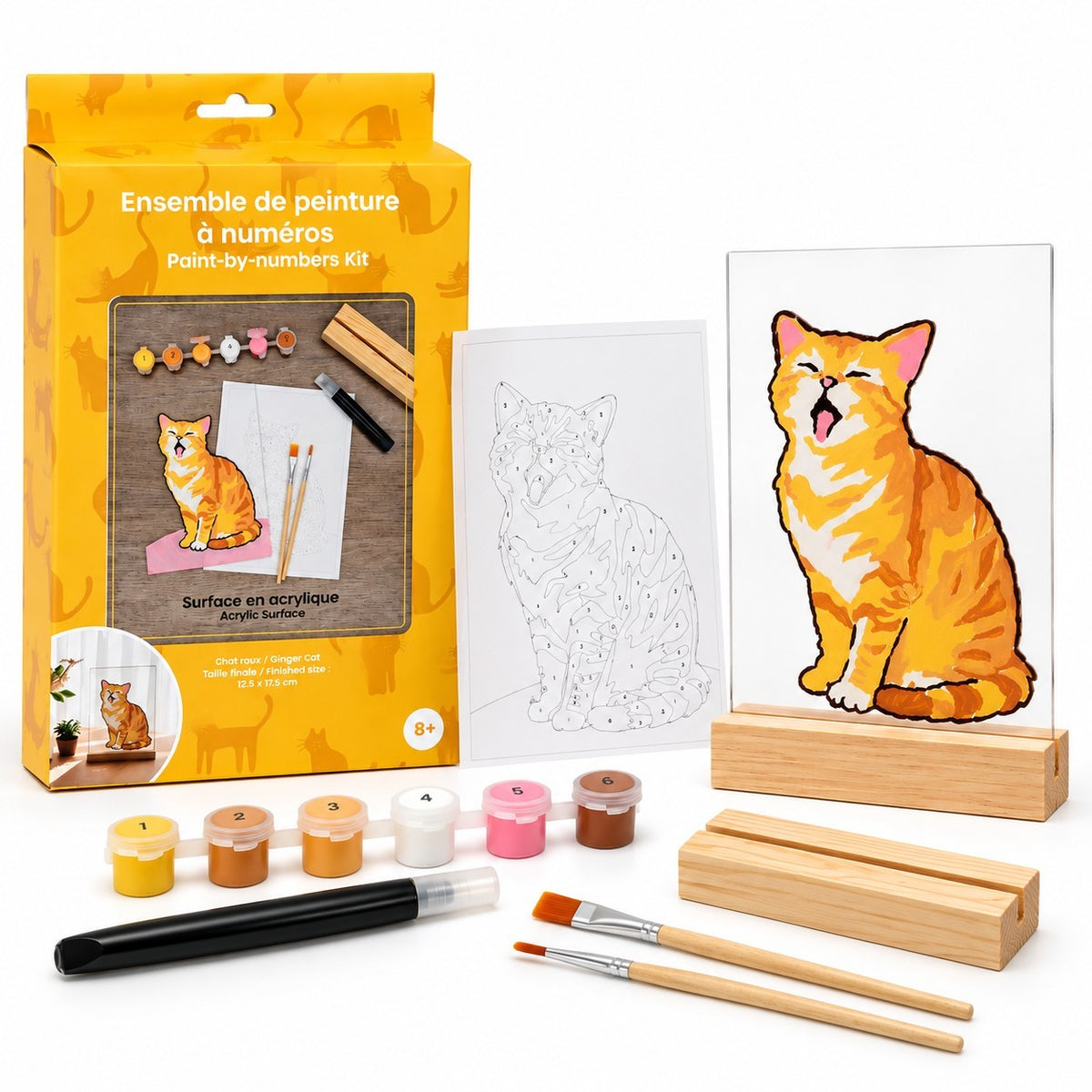 KIT PEINTURE PAR NUMÉROS SUR SURFACE ACRYLIQUE – CHAT - PBI ART
