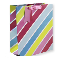 Grand Sac:  Holo Rayures 26,5X14X33Cm CLAIREFONTAINE