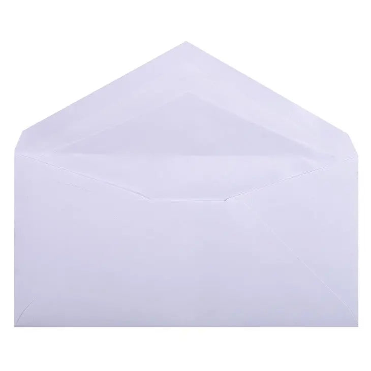 Vélin De France 20 Enveloppes 100g 11x22cm G.LALO