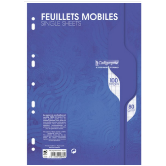 Feuilles Classeurs Seyes 100P 8¼X11¾ CLAIREFONTAINE