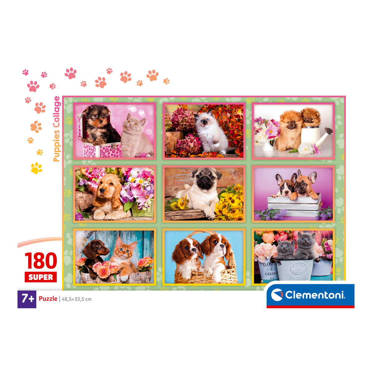 PZ180: COLLAGE DE CHIOTS - CLEMENTONI