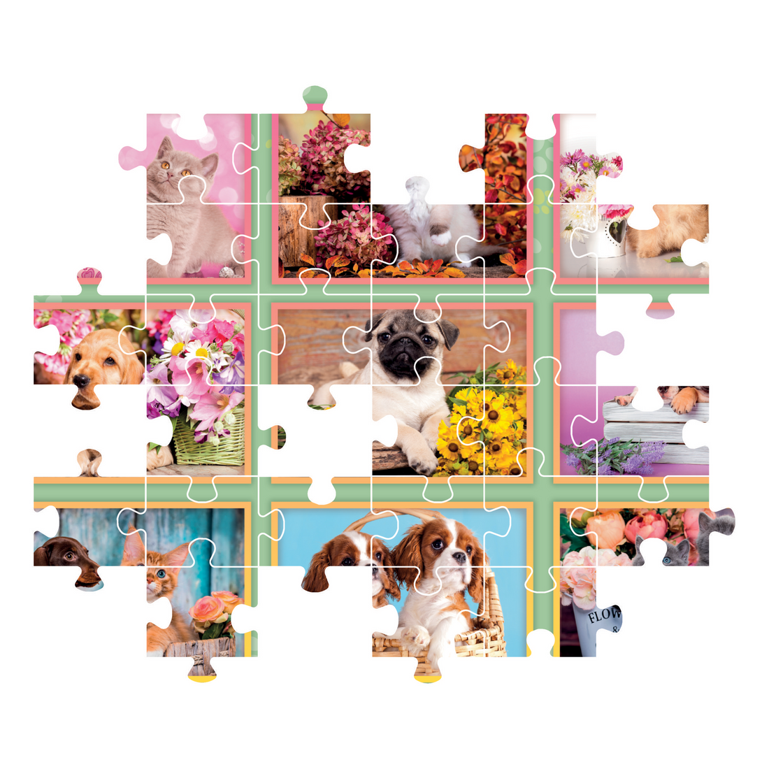 PZ180: COLLAGE DE CHIOTS - CLEMENTONI